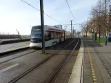 Aarhus Stadtbahn Linie L1 mit Niederflurgelenkwagen 2104-2204 am Østbanetorvet (2024)