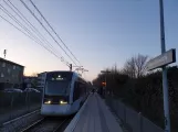 Aarhus Stadtbahn Linie L1 mit Niederflurgelenkwagen 2105-2205 am Vestre Strandallé (2020)