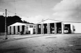 Archivfoto: Aarhus Pferdeturmwagen vor Dalgas Avenue (1954)