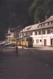 Bad Schandau Kirnitzschtal 241 mit Triebwagen 6 am Lichtenhainer Wasserfald (1990)