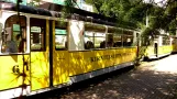 Bad Schandau Kirnitzschtal 241 mit Triebwagen 6, Seitenansicht Kurpark (2015)