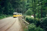 Bad Schandau Kirnitzschtal 241 nah Ostrauer Mühle (Zeltplats) (1996)