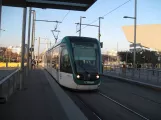 Barcelona Straßenbahnlinie T6 mit Niederflurgelenkwagen 11, die Vorderseite La Farinera (2015)