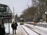 Berlin Schnelllinie M1 mit Niederflurgelenkwagen 1015 am Wiesenwinkel (2010)