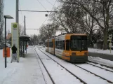 Berlin Schnelllinie M1 mit Niederflurgelenkwagen 1048 am Wiesenwinkel (2010)