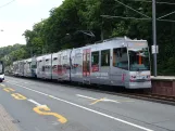 Bielefeld Straßenbahnlinie 1 mit Gelenkwagen 563 am Brackwede (2024)