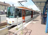 Bielefeld Straßenbahnlinie 2 mit Gelenkwagen 559 am Sieker (2022)