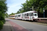 Bielefeld Straßenbahnlinie 4 mit Gelenkwagen 555 am Graf-von-Stauffenberg-Straße (2016)