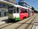 Brandenburg an der Havel Straßenbahnlinie 1 mit Gelenkwagen 177 am Hauptbahnhof (2024)