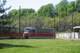 Bratislava Triebwagen 7706 am Stn. Vinohrady (2008)