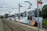 Braunschweig Straßenbahnlinie 1 mit Gelenkwagen 8153 am Stöckheim Salzdahlumer Weg (2012)