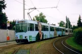 Braunschweig Straßenbahnlinie 3 mit Gelenkwagen 8160 am Volkmarode Grenzweg (2006)