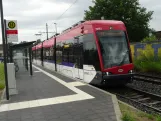 Braunschweig Zusätzliche Linie 10 mit Niederflurgelenkwagen 1951 am Hansestr. Ost (2024)