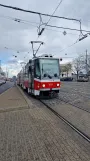 Brünn Straßenbahnlinie 12 mit Gelenkwagen 1213 auf Husova (2024)