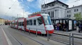 Brünn Straßenbahnlinie 2 mit Niederflurgelenkwagen 1906 am Hlavní Nádraží (2024)