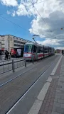 Brünn Straßenbahnlinie 9 mit Niederflurgelenkwagen 1945 am Hlavní Nádraží (2024)