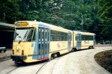 Brüssel Straßenbahnlinie 44 mit Gelenkwagen 7818 am Tervuren Station (2002)