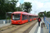 Chemnitz Regionallinie C11 mit Niederflurgelenkwagen 413 "Stollberg" am Treffurthstraße (2015)