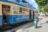 Christchurch Tramway line mit Triebwagen 1888 Christchurch Tramway (2023)