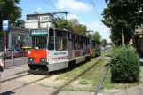 Częstochowa Straßenbahnlinie 1 mit Triebwagen 638 am Plac Europy (2008)