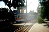 Darmstadt Straßenbahnlinie 9 mit Niederflurgelenkwagen 9858nah Maria-Goeppert-Str. (1998)