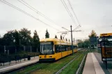 Dresden Niederflurgelenkwagen 2719 am Semmelweisstr. (2002)