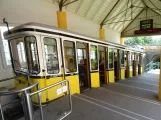 Dresden Standseilbahn Standseilbahn mit Kabelstraßenbahn Standseilbahn 2 am Bergbahnstraße (2019)