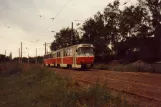 Dresden Straßenbahnlinie 5 mit Triebwagen 222 310-4 am Auerstraße (1983)