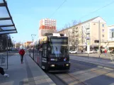 Frankfurt (Oder) Straßenbahnlinie 4 mit Niederflurgelenkwagen 305 am Magistrale (2022)