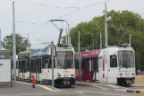 Genf Straßenbahnlinie 13 mit Gelenkwagen 810 am Nations (2010)