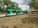 Halle (Saale) Regionallinie 5 mit Niederflurgelenkwagen 627 am Bad Dürrenberg, Markt (2023)