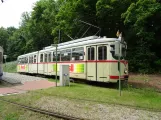 Hannover Hohenfelser Wald mit Gelenkwagen 2304 am Straßenbahn-Haltestelle (2018)