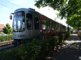 Hannover Straßenbahnlinie 10 mit Gelenkwagen 2530 am Ahlem (2022)