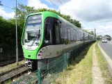 Hannover Straßenbahnlinie 5 mit Gelenkwagen 3034nah Anderten (2024)