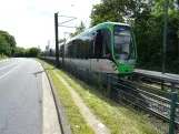 Hannover Straßenbahnlinie 5 mit Gelenkwagen 3111nah Anderten (2024)