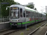 Hannover Straßenbahnlinie 6 mit Gelenkwagen 2593 am Kerstingstraße (2020)