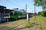 Hannover Straßenbahnlinie 8 mit Gelenkwagen 6253 am Messe/Nord (2014)