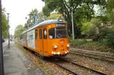 Heidelberg Schleifwagen 200 auf Kürfüsten Anlage (2009)