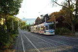 Heidelberg Straßenbahnlinie 26 mit Gelenkwagen 264 "Cambridge" am Bismarckplatz (2009)