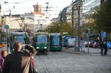 Helsinki Straßenbahnlinie 6 mit Niederflurgelenkwagen 230 auf Mannerheimvägen/Mannerheiminte (2011)