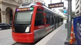 Houston Straßenbahnlinie Lila mit Niederflurgelenkwagen 331 am Central Station Capitol (2018)