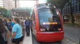 Houston Straßenbahnlinie Rot mit Niederflurgelenkwagen 115 am Dryden/TMC (2018)