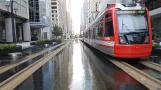 Houston Straßenbahnlinie Rot mit Niederflurgelenkwagen 305 auf Main St (2018)