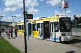 Jena Straßenbahnlinie 1 mit Niederflurgelenkwagen 611 am Burgaupark (2014)