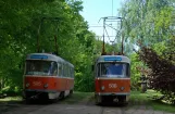 Kaliningrad Straßenbahnlinie 1 mit Triebwagen 505 im Stancyja Oktiabrskaja (2012)