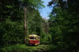 Kiew Straßenbahnlinie 12 mit Triebwagen 5815 am Lisova (2011)