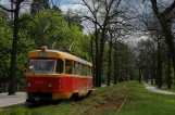 Kiew Straßenbahnlinie 12 mit Triebwagen 5990 am Hurtozhytok (2011)