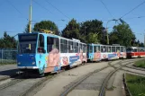 Košice Straßenbahnlinie 9 mit Triebwagen 622 am Havlíčkova (2011)