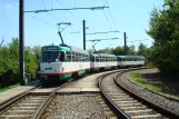 Magdeburg Straßenbahnlinie 9 mit Triebwagen 1168 am Neustädter See (2008)