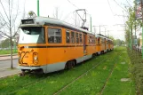 Mailand Regionallinie 178 mit Triebwagen 538 am Milano Parco Nord (2009)